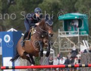 Arioldi F Lagerfeld TosTour 2013- S5 7542 : Arezzo Equestrian Centre, Arioldi Francesca, Lagerfeld, Toscana Tour 2013, foto di Stefano Secchi ©
